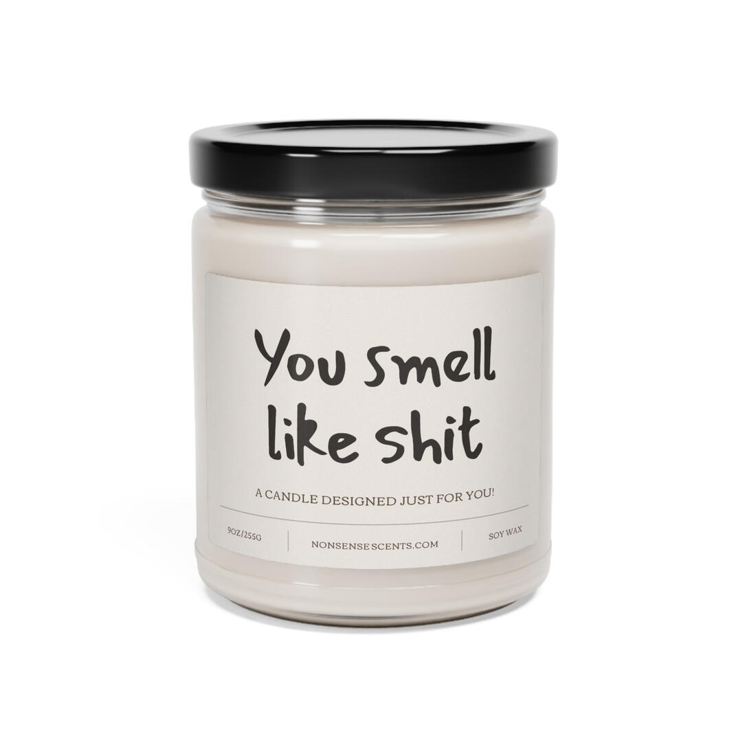 You Smell Like Shit Candle